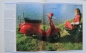 Preview: Sparrow "Das Vespa Album" Vespa-History 1996 (7129)